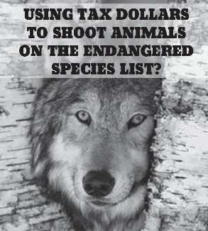 Click Image for More Details