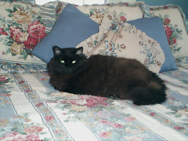 Drakkar in the Lake Champlain Room at The Stone Hearth Inn, January 2001