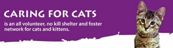 Caring for Cats No Kill Shelter, North St Paul Minnesota