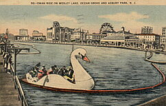 Swan Ride on Wesley Lake